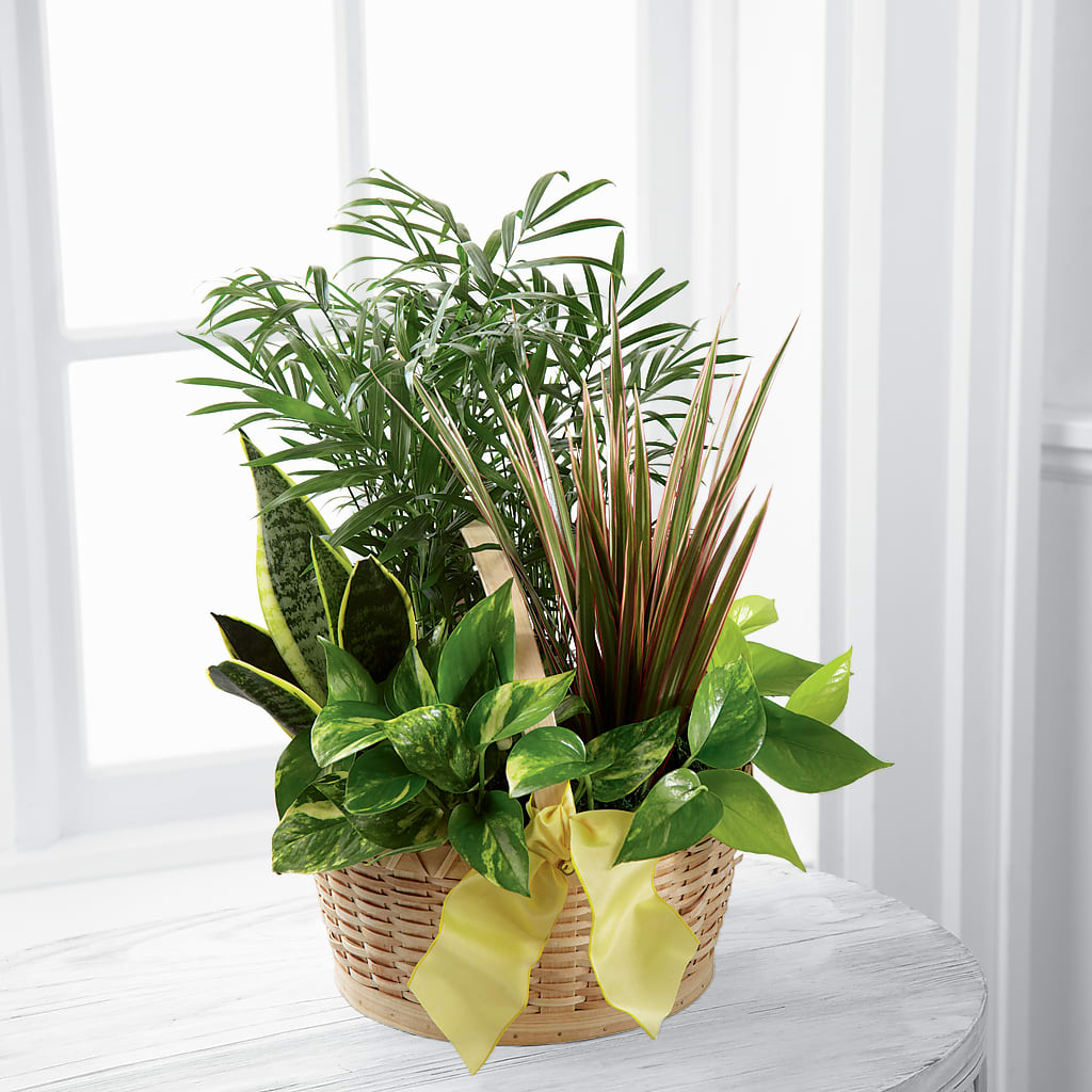 French Garden – Calumet Florist, Calumet City IL