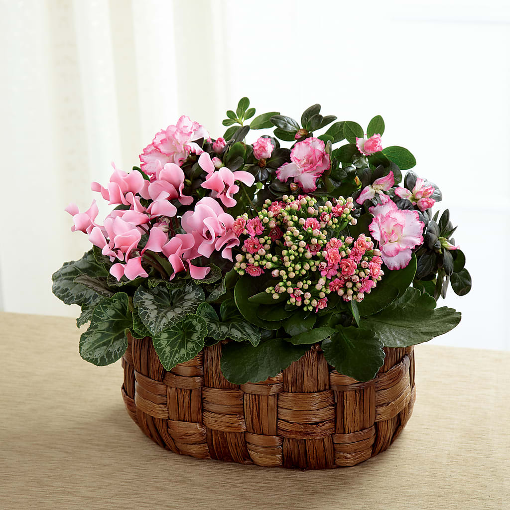 Pink Assortment – Calumet Florist, Calumet City IL