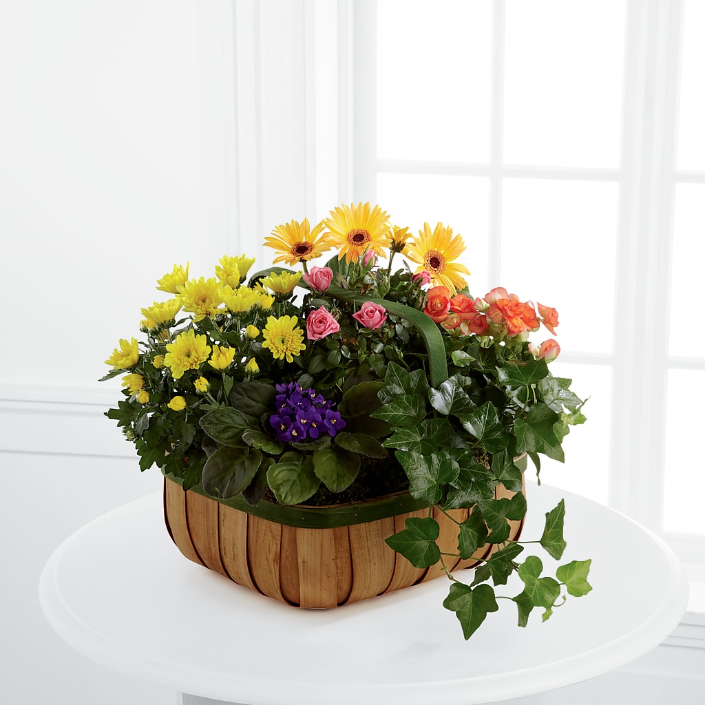 Gentle Blossoms Basket – Calumet Florist, Calumet City IL