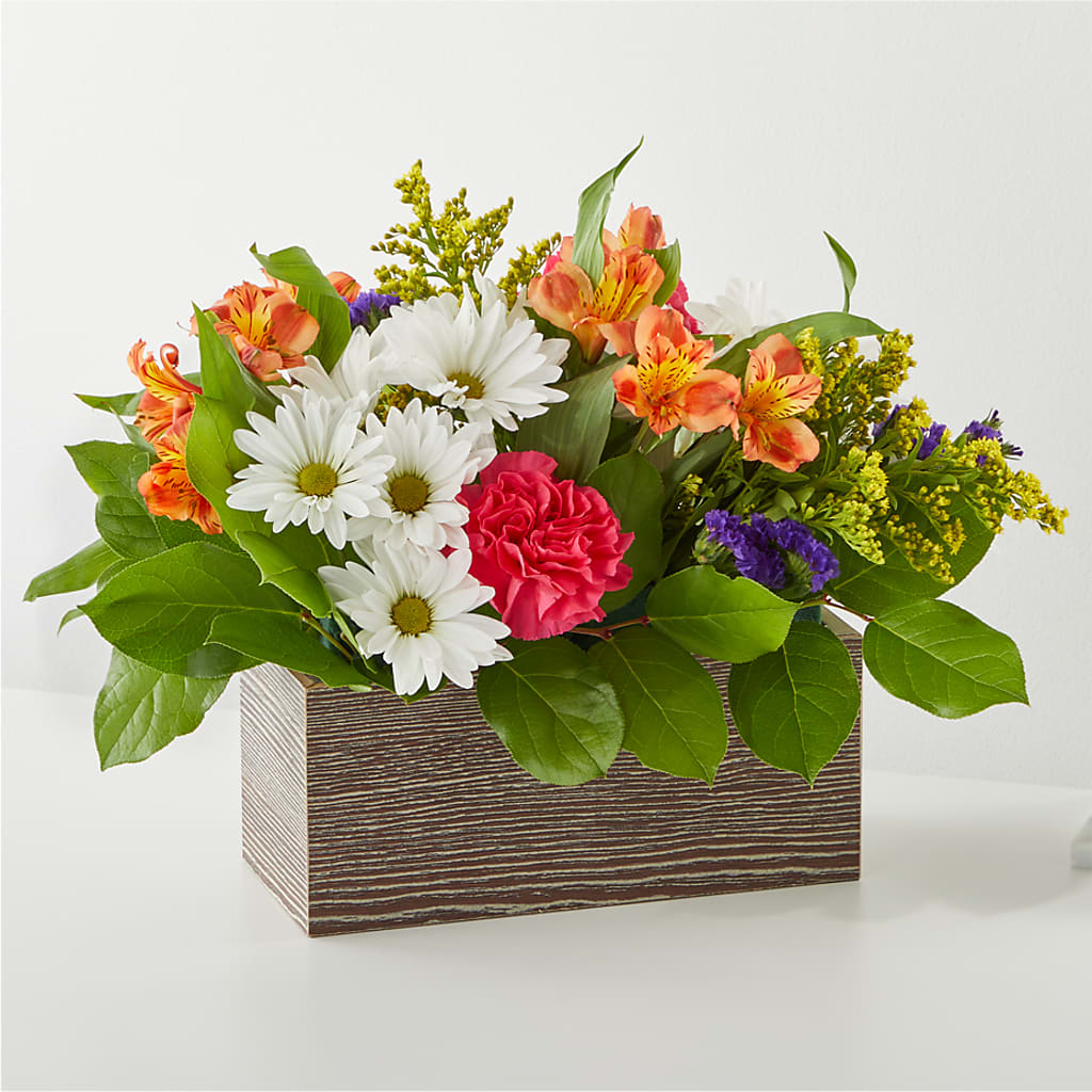 Oopsie Daisy Box Bouquet – Calumet Florist, Calumet City IL