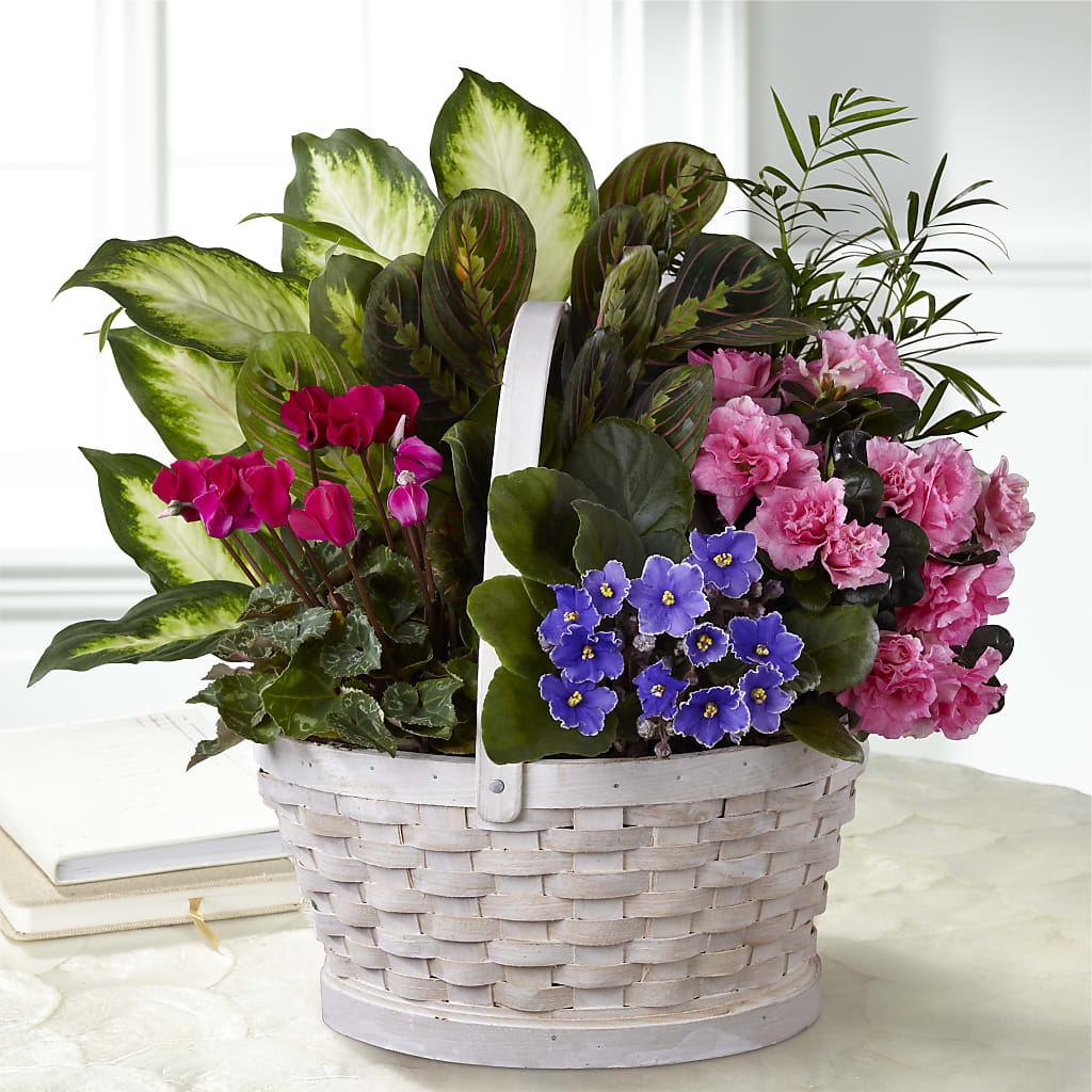 Peaceful Garden Planter – Calumet Florist, Calumet City IL