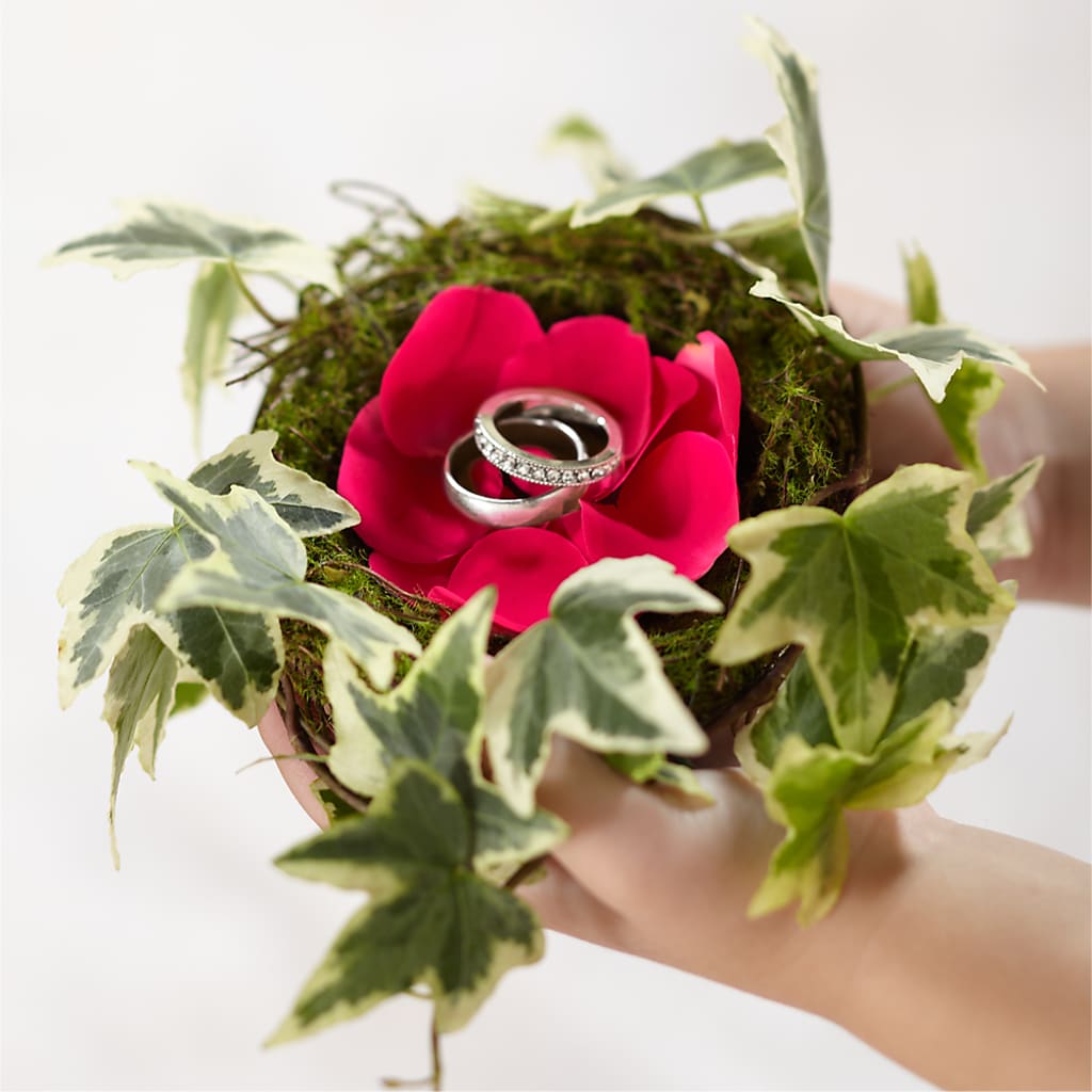 Lila Rose Ring Nest – Calumet Florist, Calumet City IL