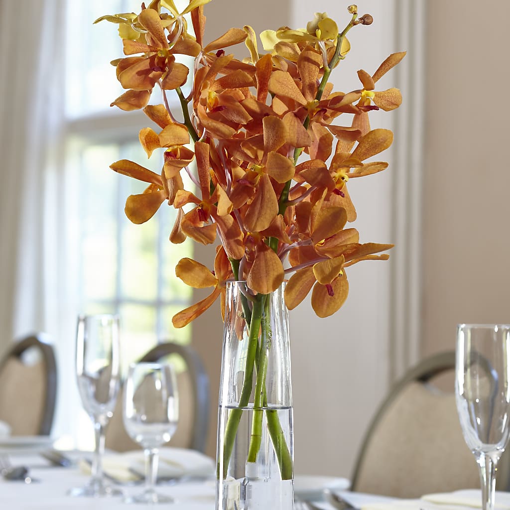 Orange Mokara Bud Vase – Calumet Florist, Calumet City IL