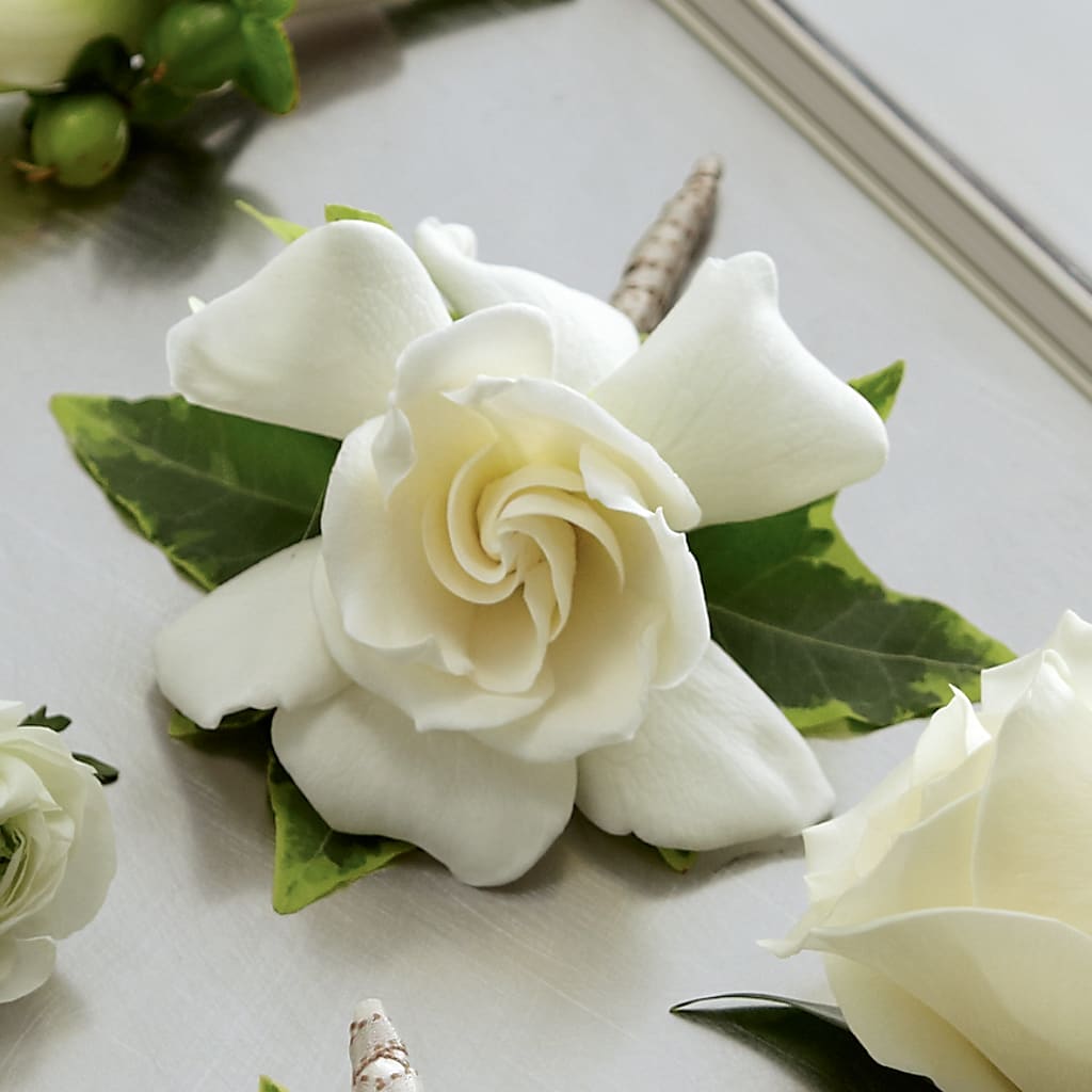 Gardenia Boutonniere – Calumet Florist, Calumet City IL