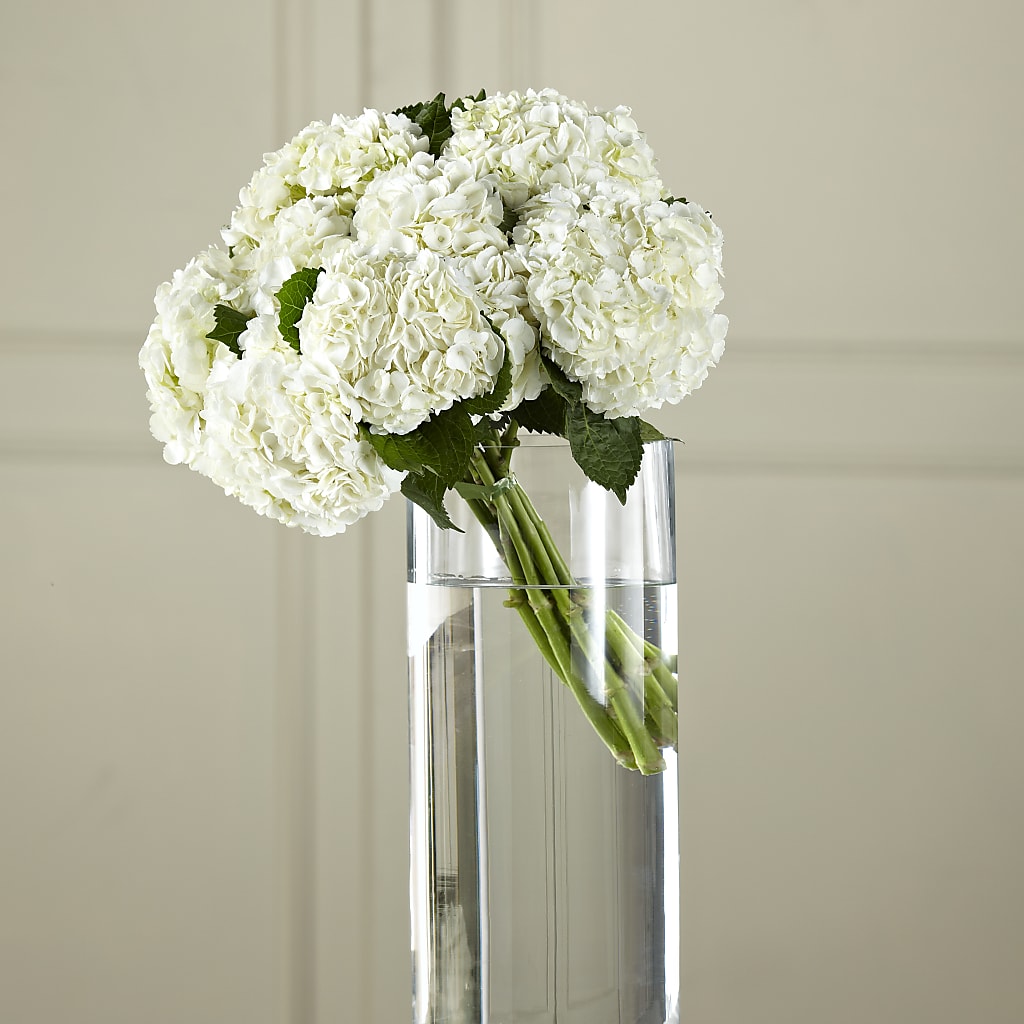 White Hydrangea Hand-Tied Bouquet – Calumet Florist, Calumet City IL