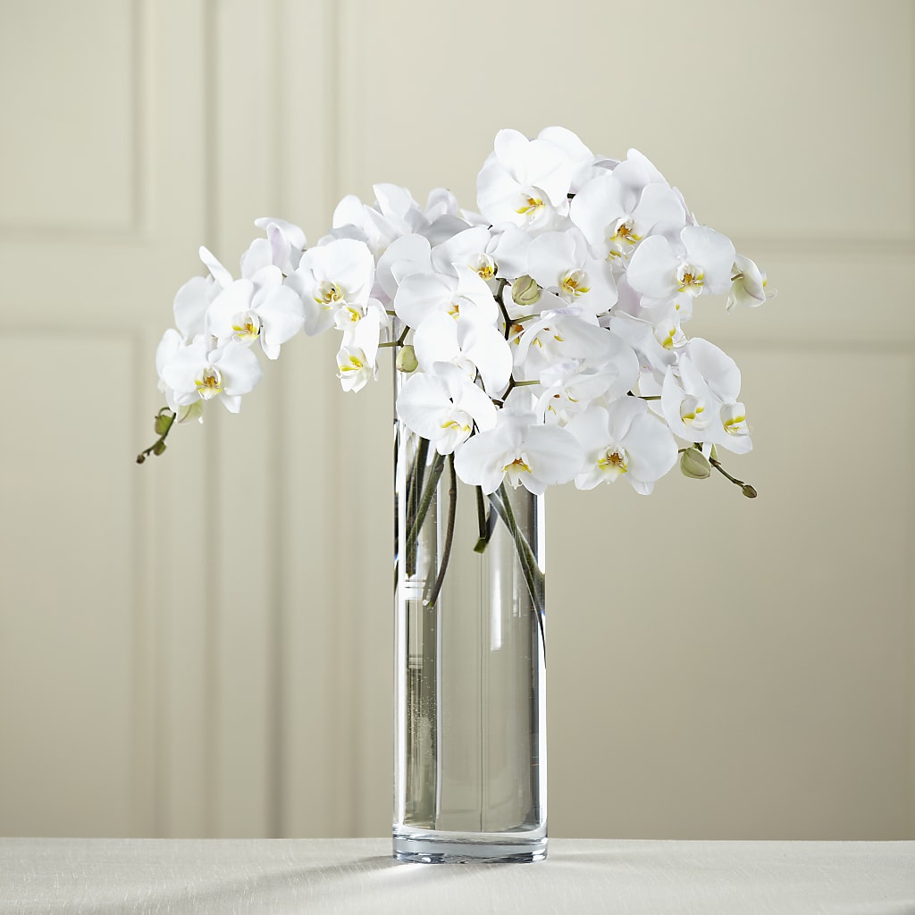 White Phalaenopsis Bouquet – Calumet Florist, Calumet City IL