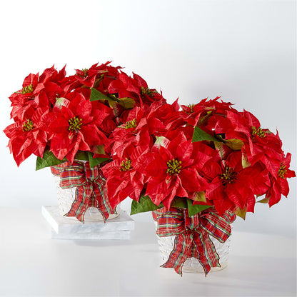Happiest Holidays Poinsettia Bundle –  Calumet Florist, Calumet City IL