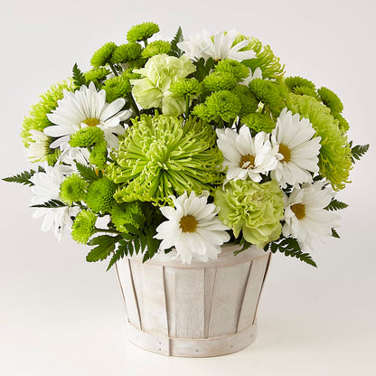 Lucky Charm Basket (Standard) –  Calumet Florist, Calumet City IL
