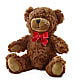 Adorable Plush Bear –  Calumet Florist, Calumet City IL