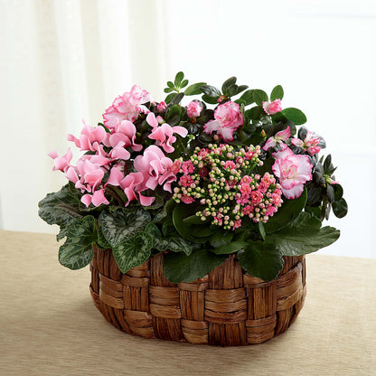 Pink Assortment –  Calumet Florist, Calumet City IL