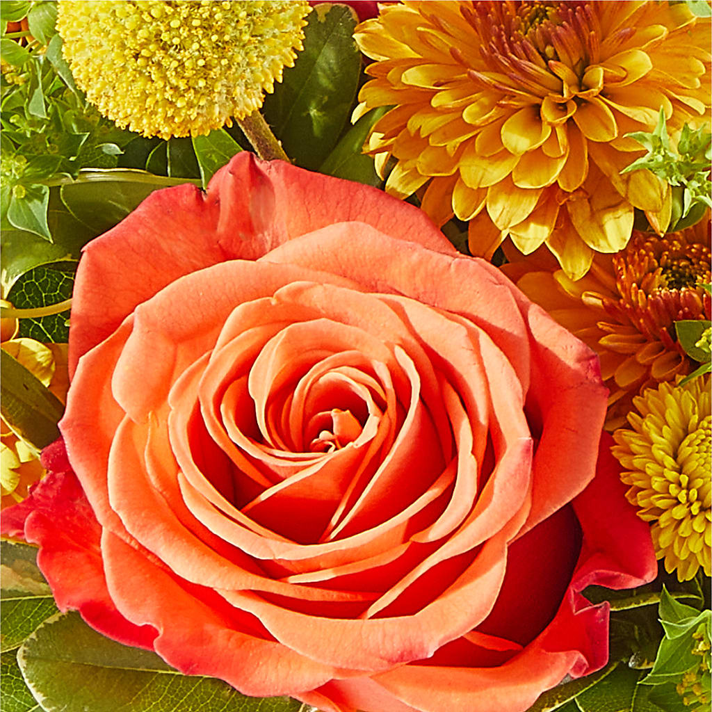 Gourdgeous Pumpkin –  Calumet Florist, Calumet City IL