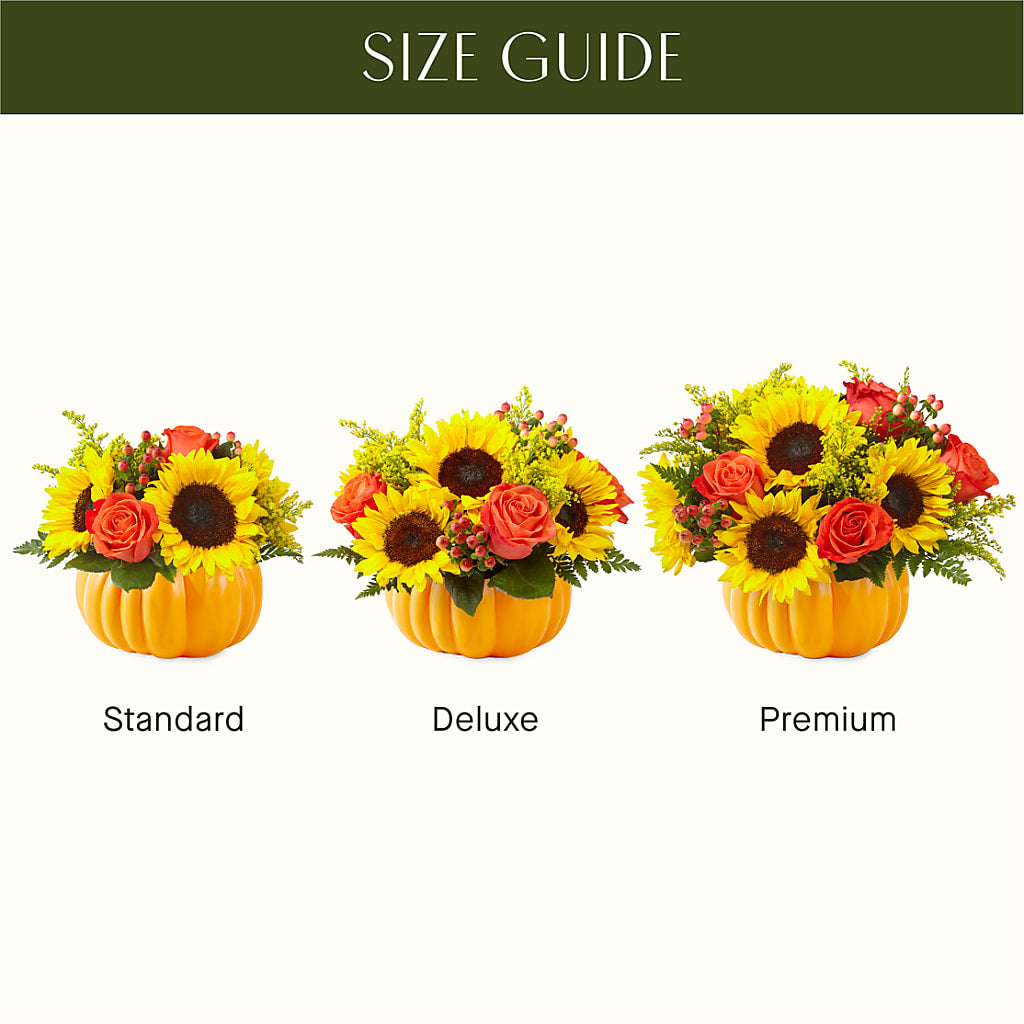 Pick of the Patch Pumpkin Bouquet –  Calumet Florist, Calumet City IL
