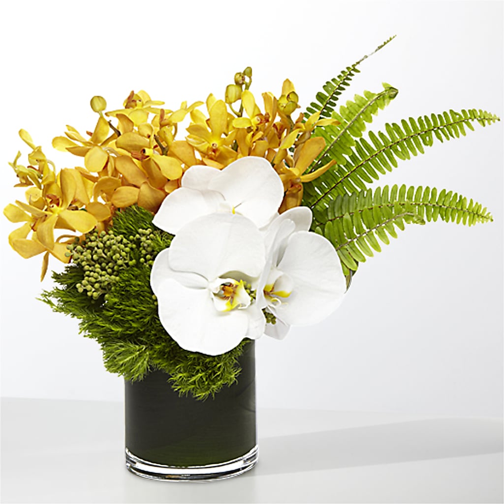 The Tropics –  Calumet Florist, Calumet City IL