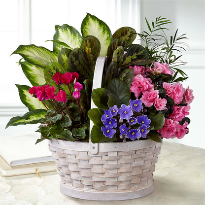Peaceful Garden Planter –  Calumet Florist, Calumet City IL