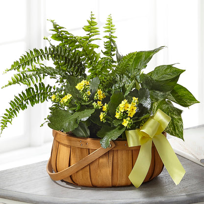 Always Dear Dishgarden –  Calumet Florist, Calumet City IL