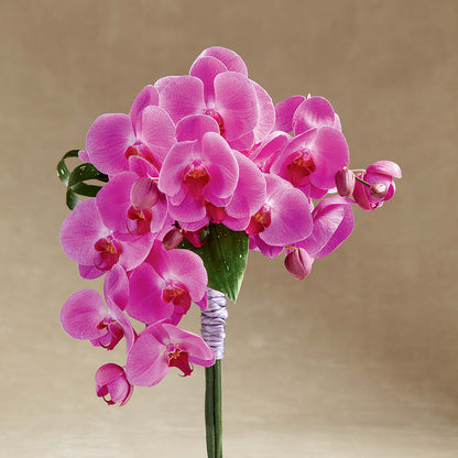 Glorious Bouquet –  Calumet Florist, Calumet City IL